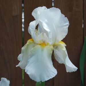 Meet your Posher, Eileen